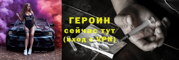 прущие грибы Ельня