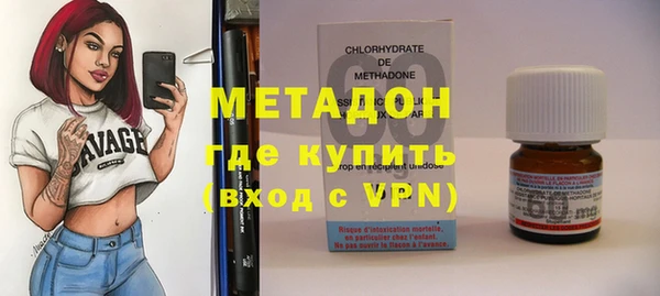 прущие грибы Ельня