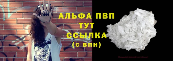 прущие грибы Ельня