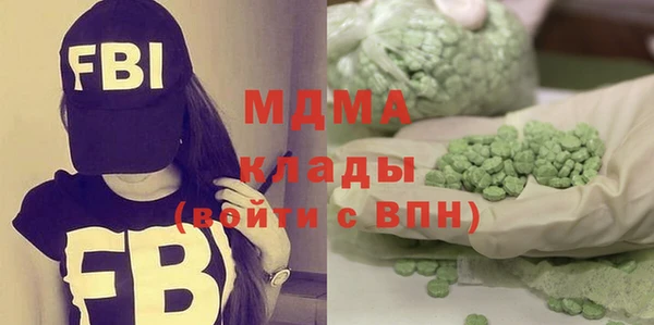 прущие грибы Ельня