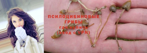 spice Елабуга