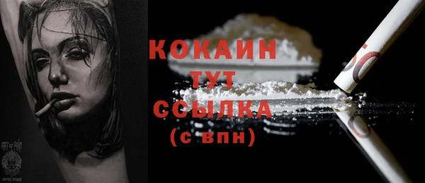 винт Елизово