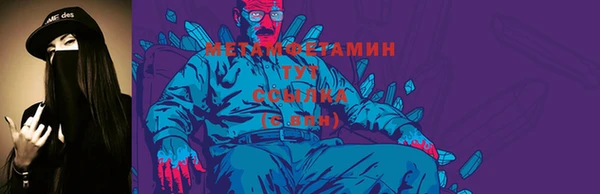 прущие грибы Ельня