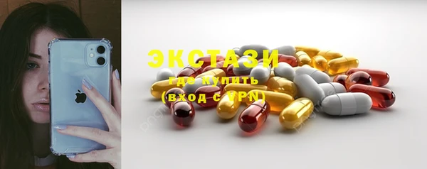 прущие грибы Ельня