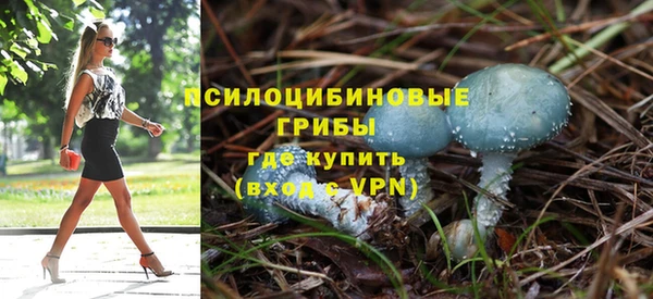 винт Елизово