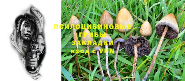 spice Елабуга