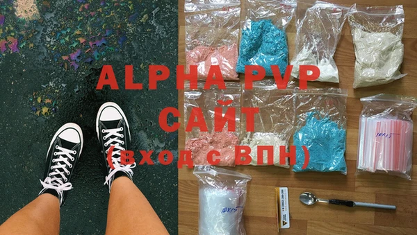 прущие грибы Ельня