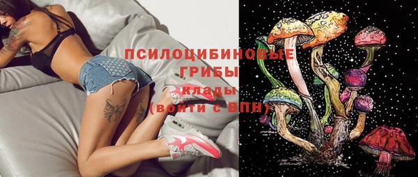 прущие грибы Ельня