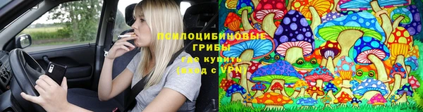 винт Елизово