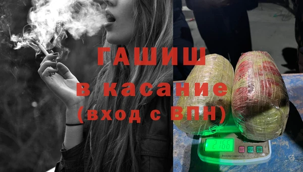 прущие грибы Ельня
