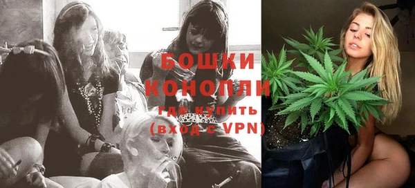 прущие грибы Ельня