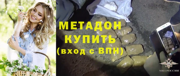 прущие грибы Ельня