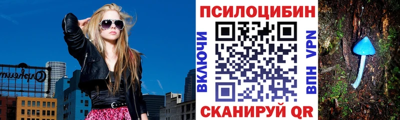 Купить  Урюпинск  Галлюциногенные грибы Psilocybine cubensis 